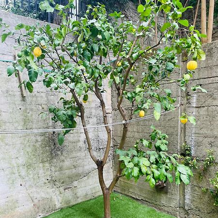 ג'נובה Lemon Tree Resort - Freeparking - Garden מראה חיצוני תמונה